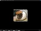  my lastest 
 Irru 
 7.00 
 4 
 2477 
 2004/4/21 15:32 
