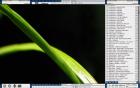  non-step 
 The-Hi_End 
 0.00 
 0 
 2411 
 2004/8/23 8:18 