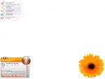  Project "Karbon Gerbera" v0.8 
 asphinx 
 6.00 
 2 
 2915 
 2007/2/26 10:29 